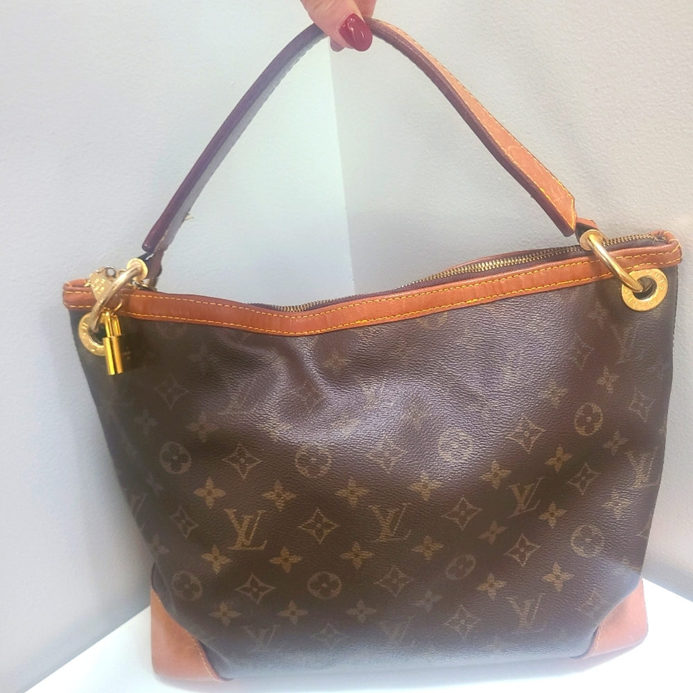 Louis Vuitton Berri monogram canvas  purse